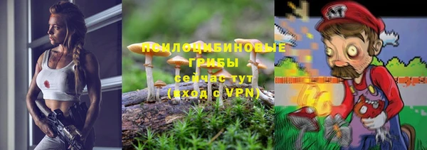 jwh Лиски