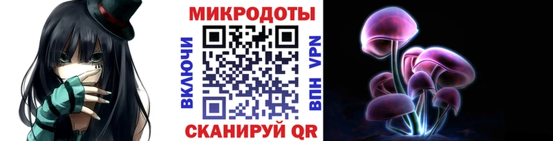Псилоцибиновые грибы Cubensis  гидра ссылки  Йошкар-Ола  где купить наркотик 