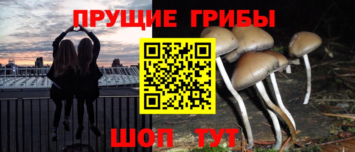 Галлюциногенные грибы Magic Shrooms  Вход с VPN  Галлюциногенные грибы GOLDEN TEACHER  Йошкар-Ола 