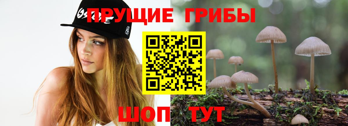 Галлюциногенные грибы Psilocybine cubensis  Псилоцибиновые грибы Cubensis  Йошкар-Ола 
